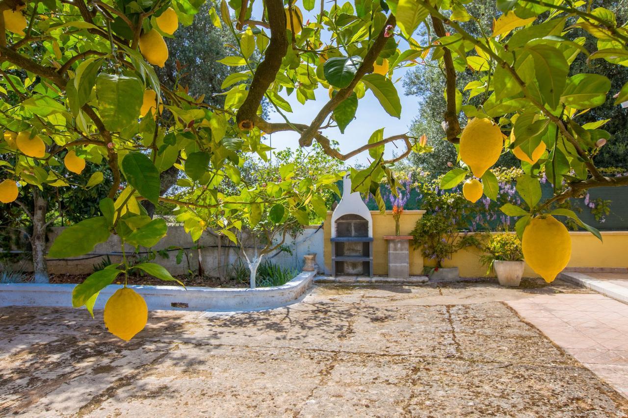 Casa Mediterranea Dei Normanni San Vito dei Normanni Eksteriør bilde